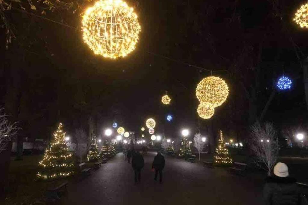 Coeur Alsace Daire Colmar Dış mekan fotoğraf