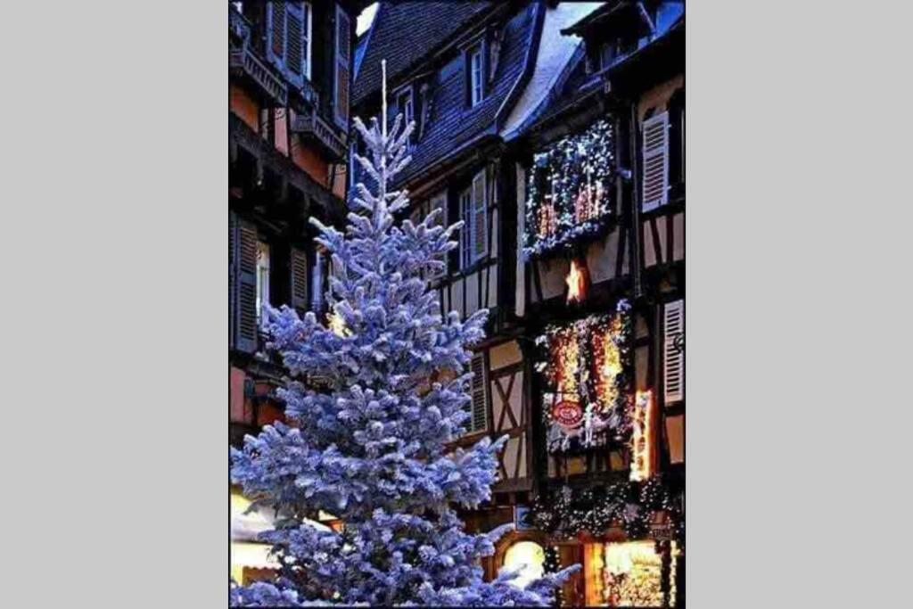 Coeur Alsace Daire Colmar Dış mekan fotoğraf