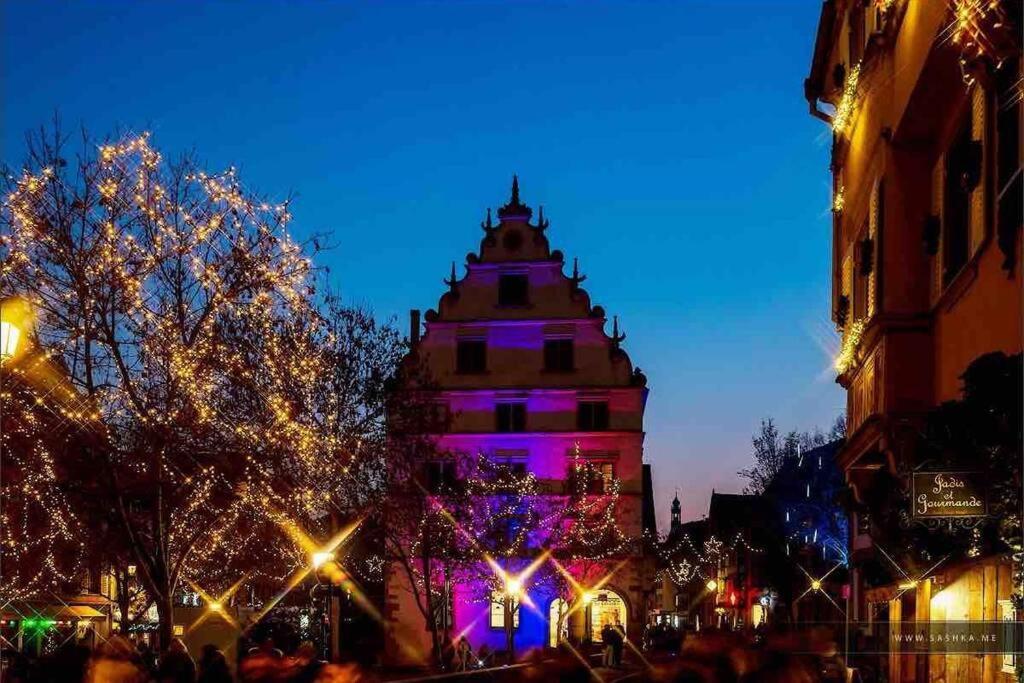 Coeur Alsace Daire Colmar Dış mekan fotoğraf
