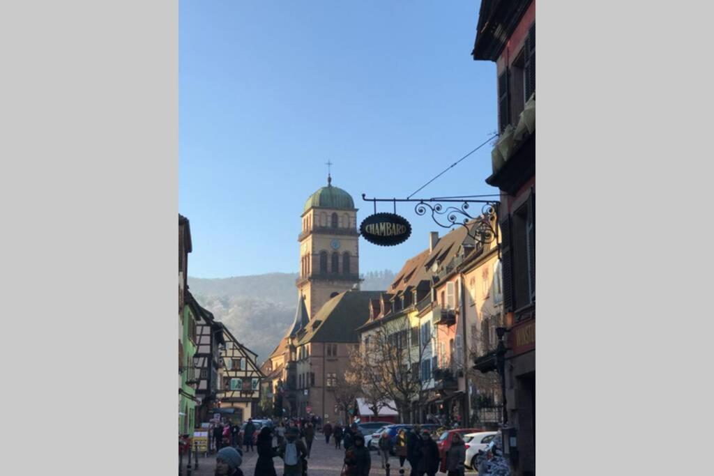 Coeur Alsace Daire Colmar Dış mekan fotoğraf