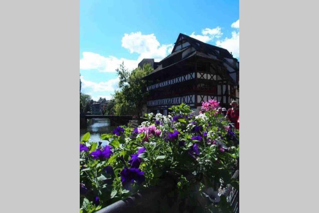 Coeur Alsace Daire Colmar Dış mekan fotoğraf