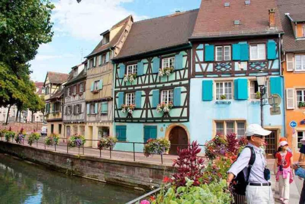 Coeur Alsace Daire Colmar Dış mekan fotoğraf