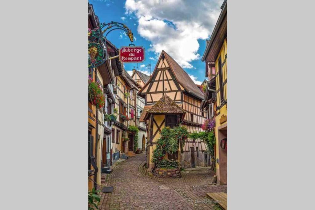 Coeur Alsace Daire Colmar Dış mekan fotoğraf