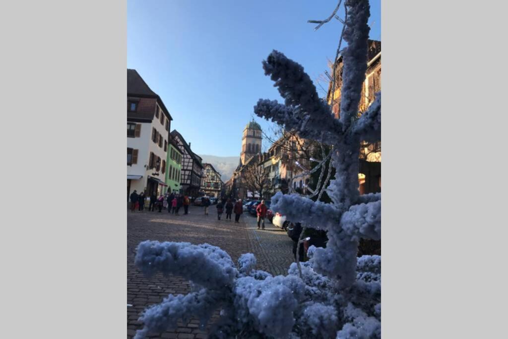 Coeur Alsace Daire Colmar Dış mekan fotoğraf