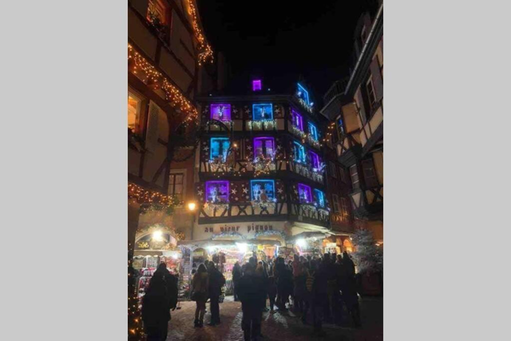 Coeur Alsace Daire Colmar Dış mekan fotoğraf