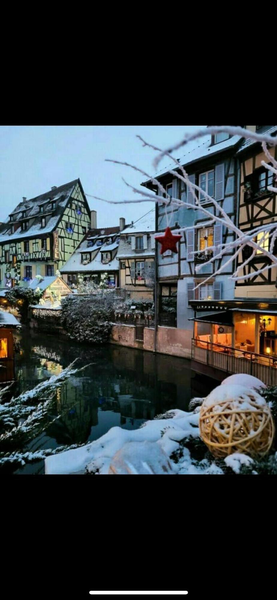Coeur Alsace Daire Colmar Dış mekan fotoğraf